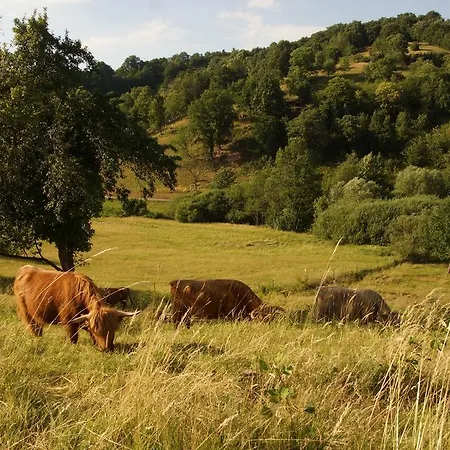 Staufenberg Διαμέρισμα Gernsbach